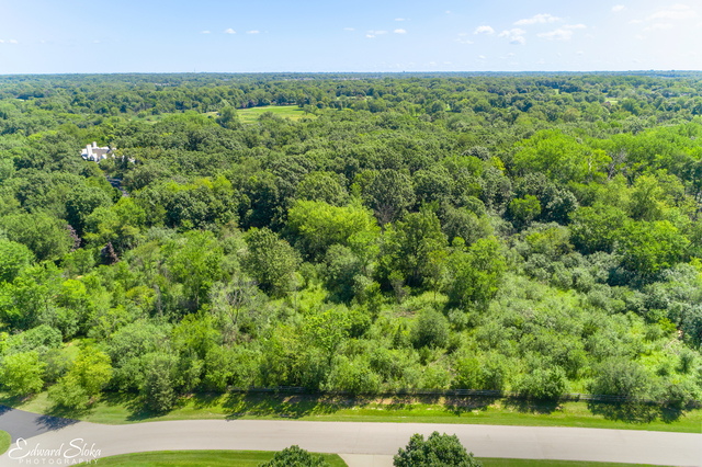 0 Steeplechase Road Chicago, IL 60639 - Photo 13 of 21