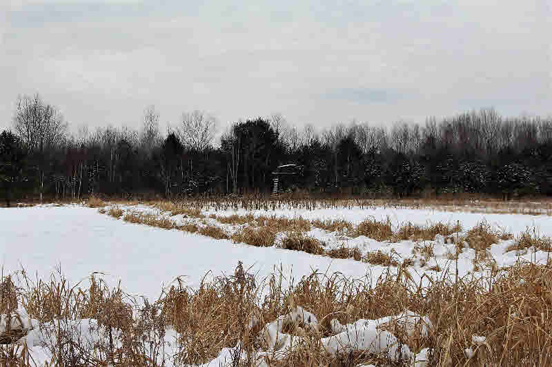 1731 Wieman Road Beaverton, MI 48612 - Photo 30 of 48