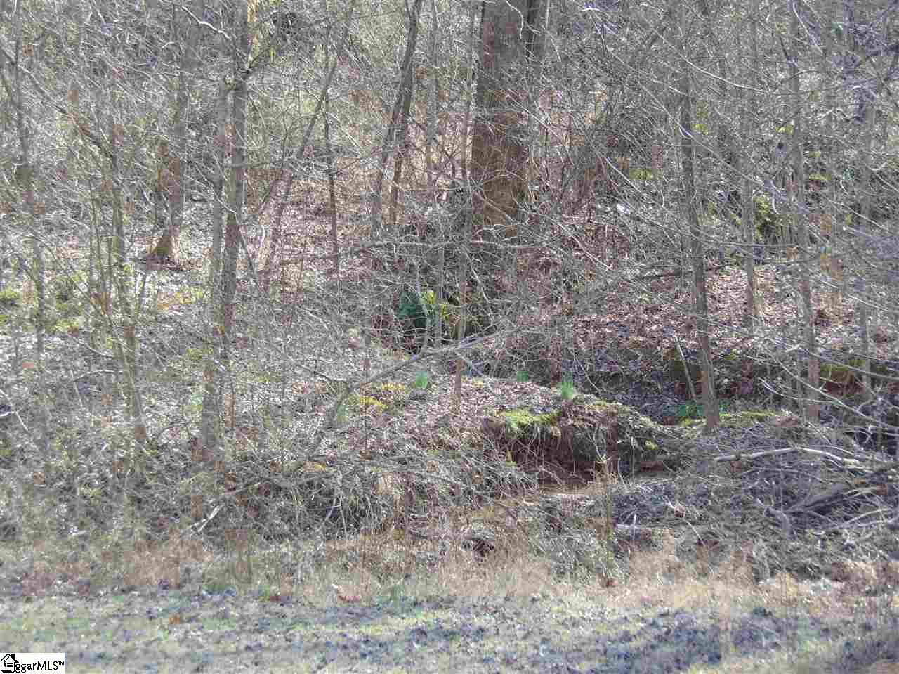 734 Cove Creek Road Pickens, SC 29671 - Photo 5 of 32 Gallery Image 5