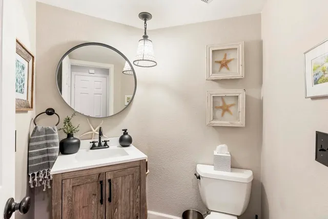 a view of a flower in a yard