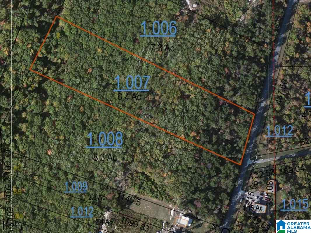 89 North County Road Mentone, AL 35984 - Photo 1 of 18