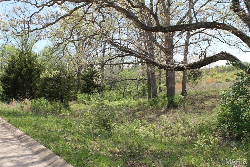 0 Oak Ridge Drive St. Clair, MO 63077 - Photo 1 of 10