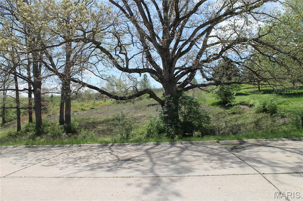 0 Oak Ridge Drive St. Clair, MO 63077 - Photo 2 of 10
