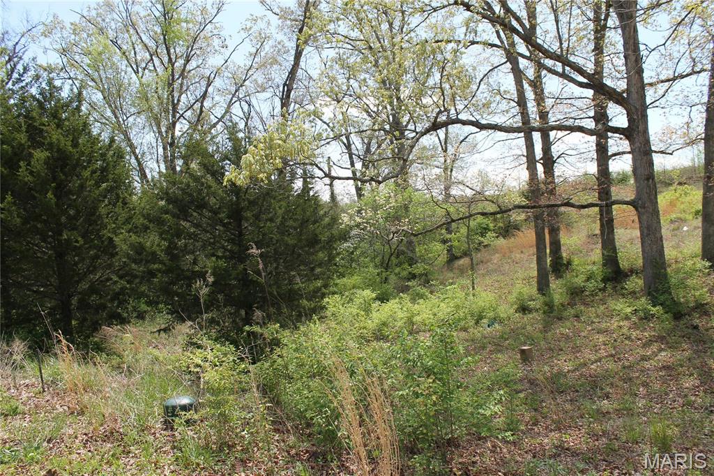0 Oak Ridge Drive St. Clair, MO 63077 - Photo 4 of 10
