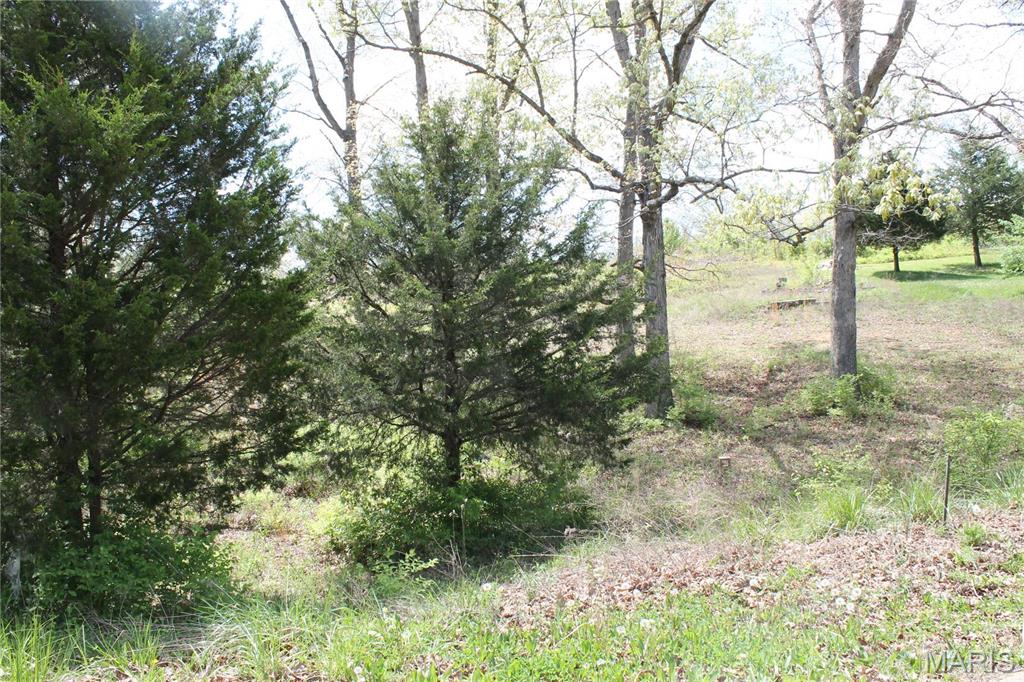 0 Oak Ridge Drive St. Clair, MO 63077 - Photo 5 of 10