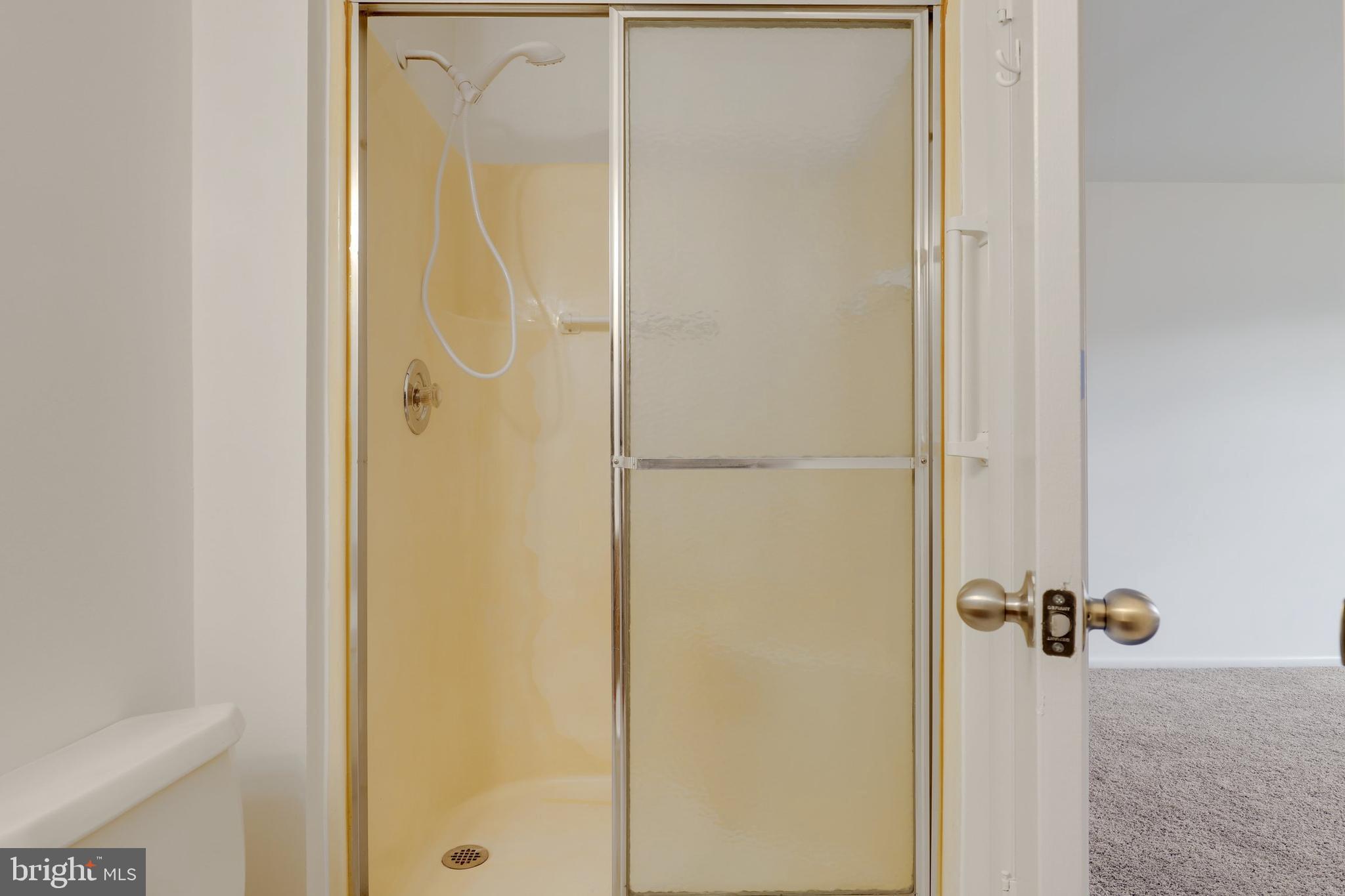 5652 Sandy Court Frederick, MD 21703 - Photo 17 of 35 a bathroom with a glass shower door