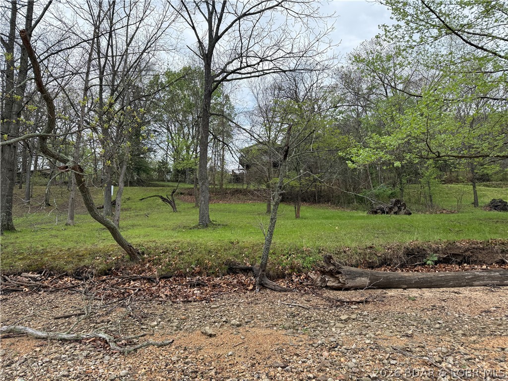 Island View Camdenton, MO 65020 - Photo 3 of 7