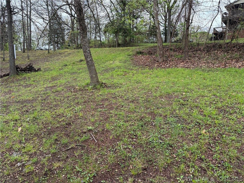 Island View Camdenton, MO 65020 - Photo 4 of 7