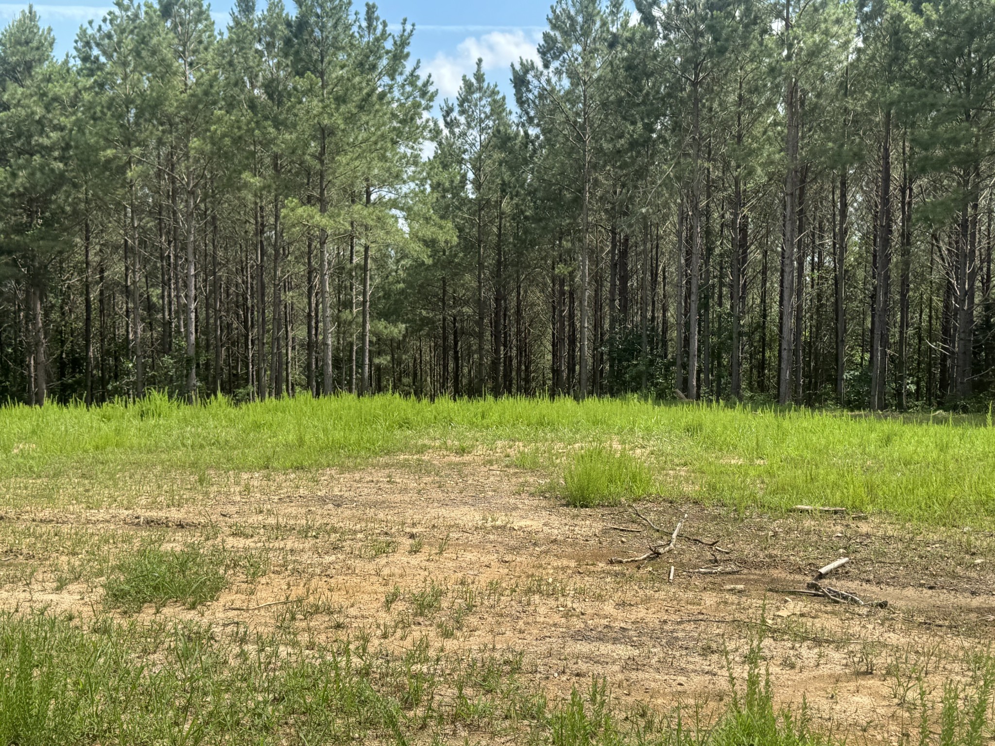 0 Rustic Pines Road Dover, TN 37058 - Photo 2 of 21