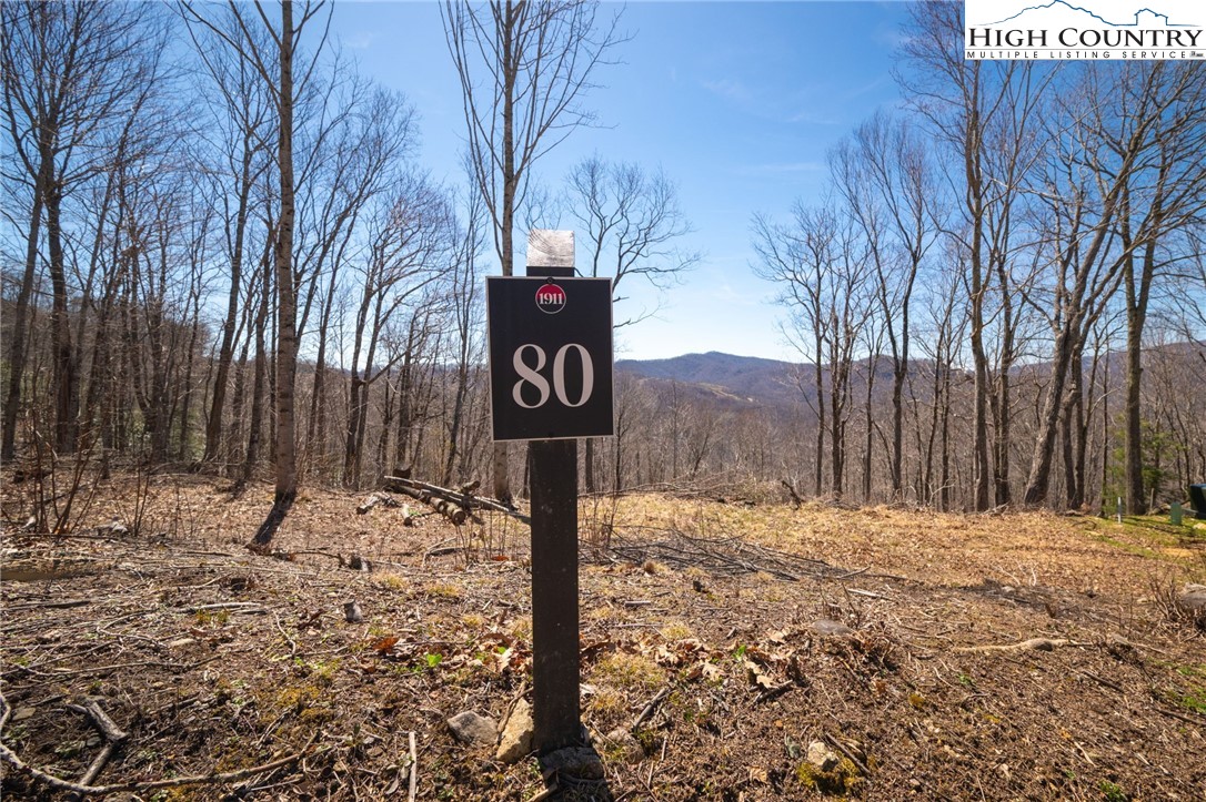 Lot 80 Bear Paw Road Elk Park, NC 28622 - Photo 5 of 19