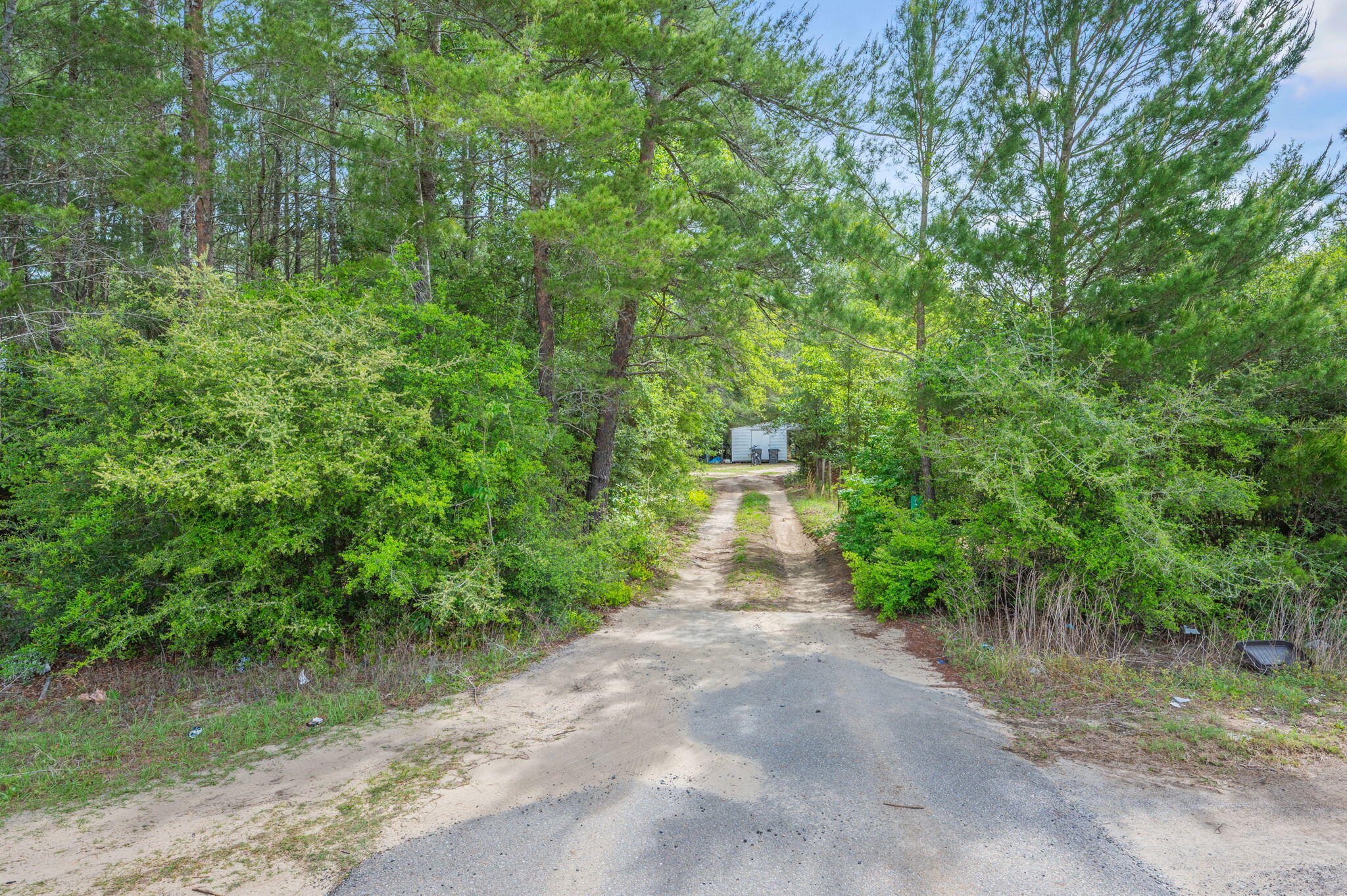 7765 Highway 331 DeFuniak Springs, FL 32435 - Photo 11 of 18 a view of a pathway of a yard