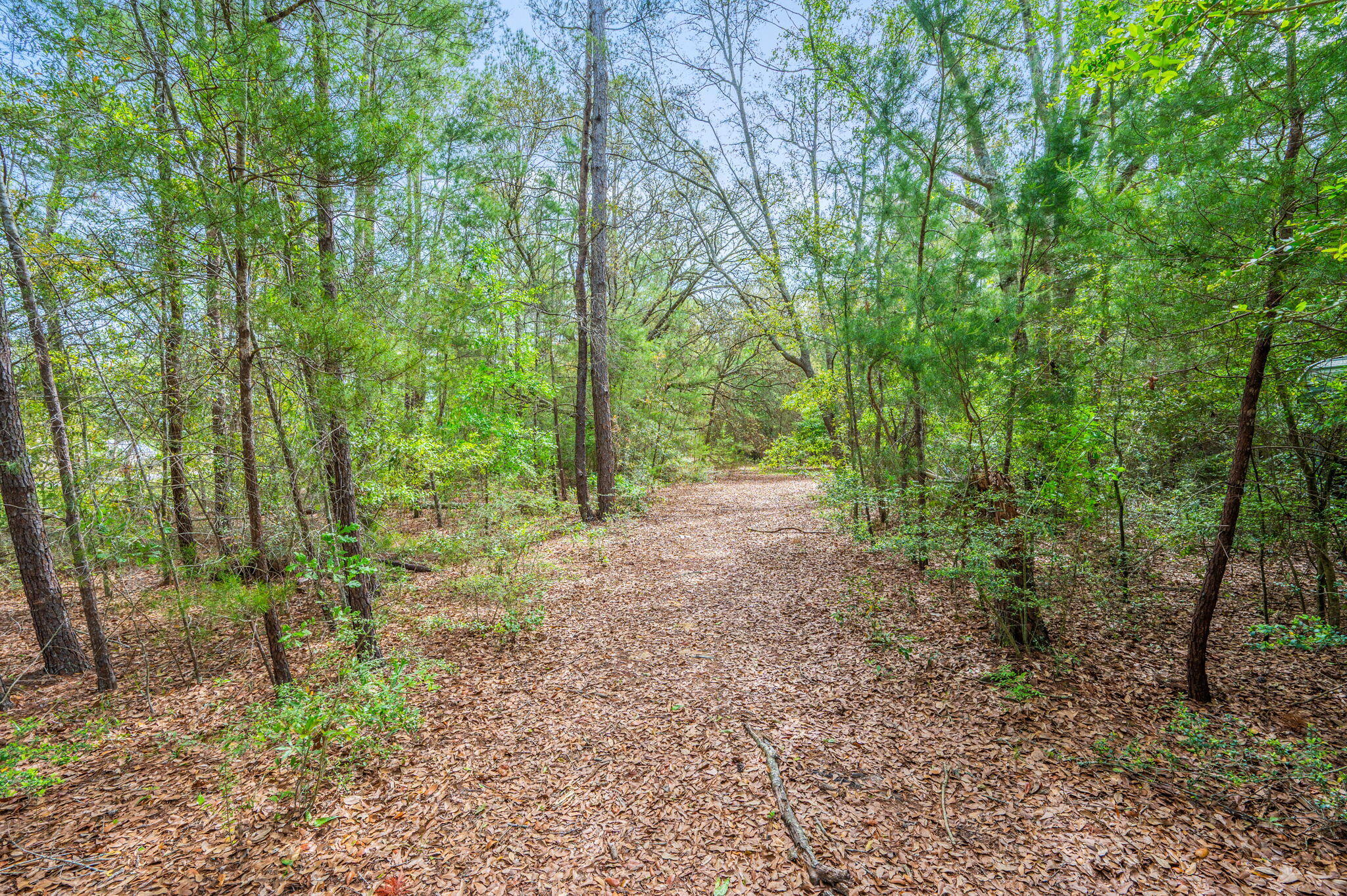 7765 Highway 331 DeFuniak Springs, FL 32435 - Photo 14 of 18 a view of outdoor space and trees