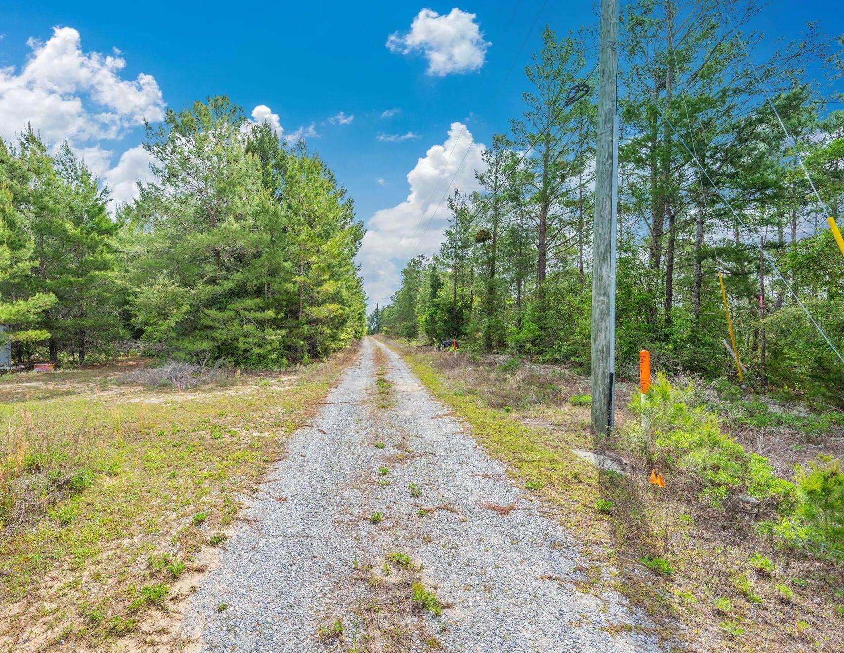 7765 Highway 331 DeFuniak Springs, FL 32435 - Photo 18 of 18 a view of a yard with swimming pool