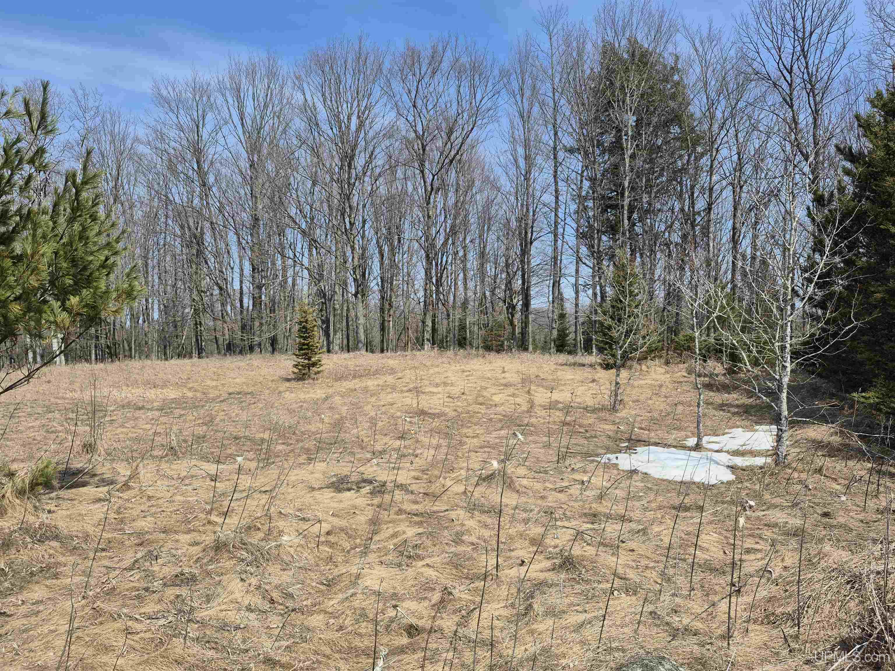 30-acres Turner Road Channing, MI 49815 - Photo 4 of 33