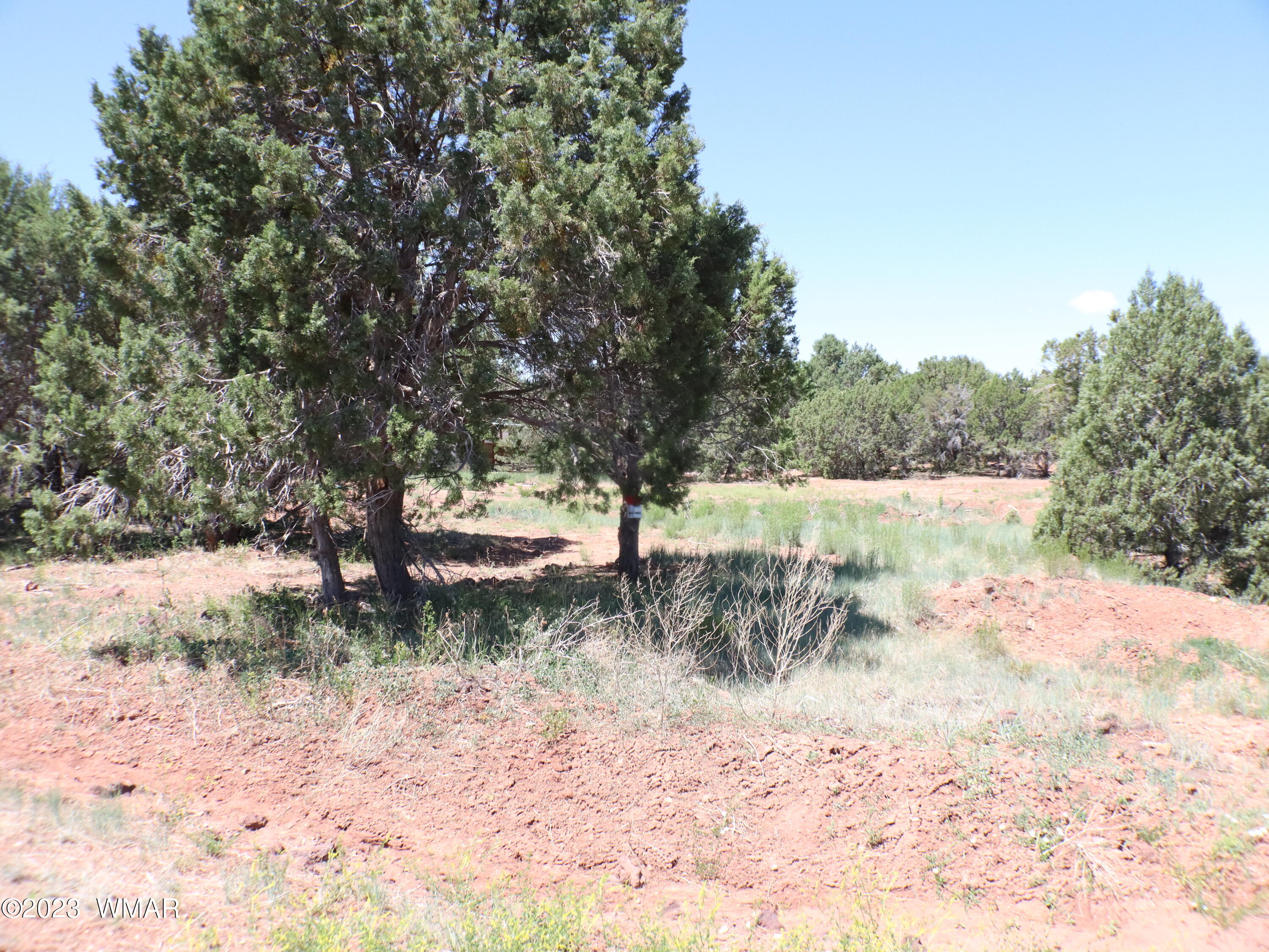 6717 Cheney Ranch Loop Show Low, AZ 85901 - Photo 2 of 12 Gallery Image 2