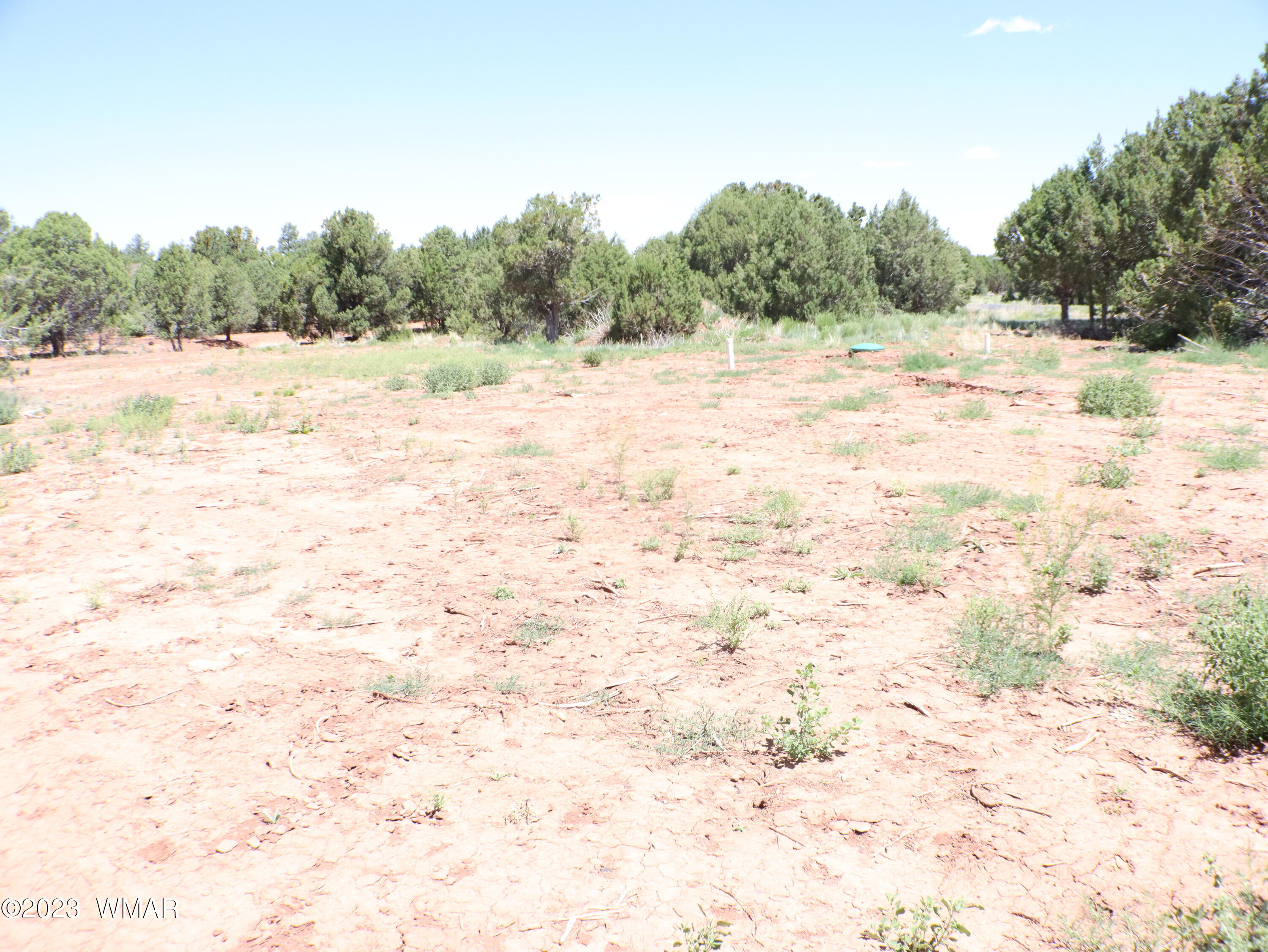 6717 Cheney Ranch Loop Show Low, AZ 85901 - Photo 6 of 12 Gallery Image 6