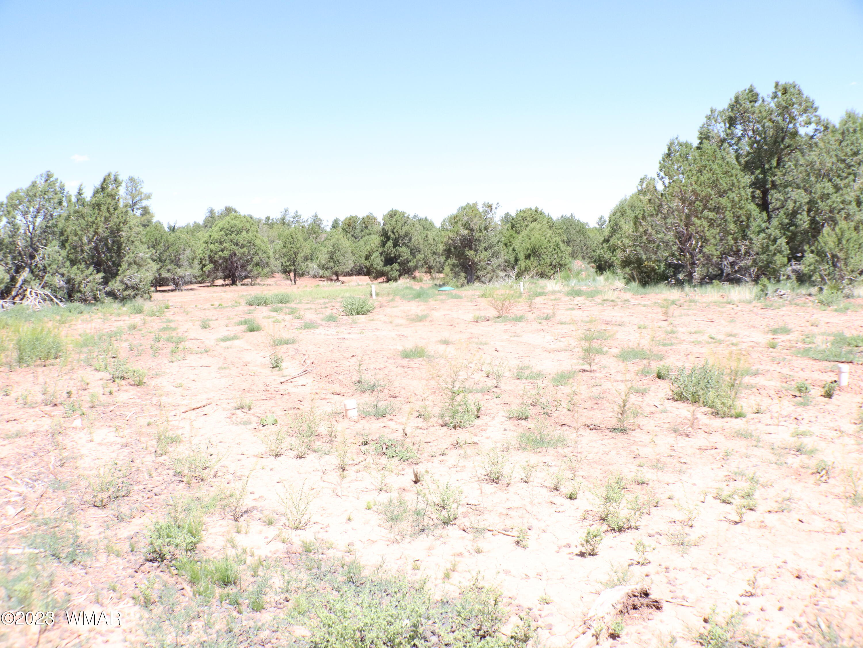 6717 Cheney Ranch Loop Show Low, AZ 85901 - Photo 7 of 12 Gallery Image 7