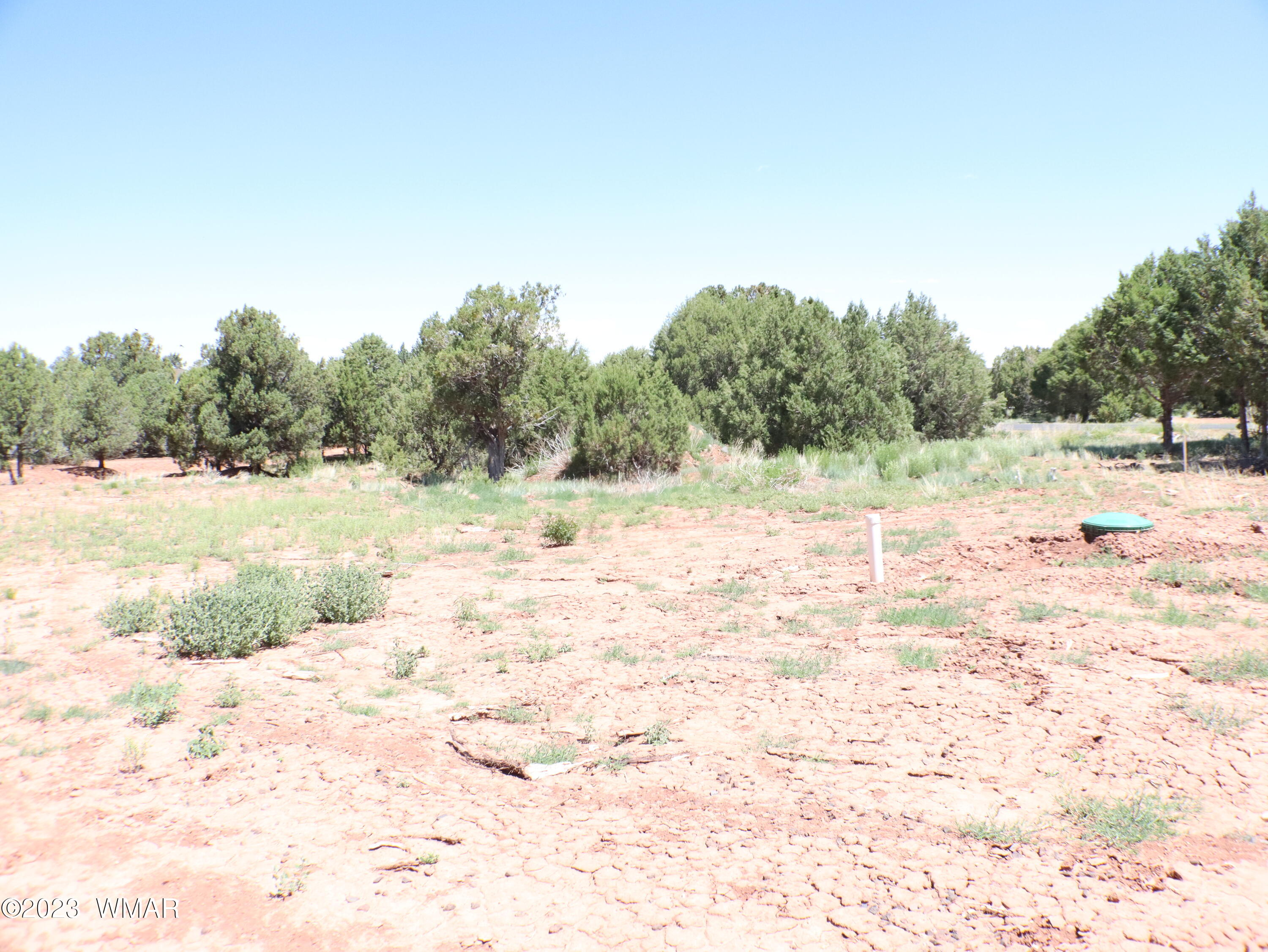 6717 Cheney Ranch Loop Show Low, AZ 85901 - Photo 8 of 12 Gallery Image 8