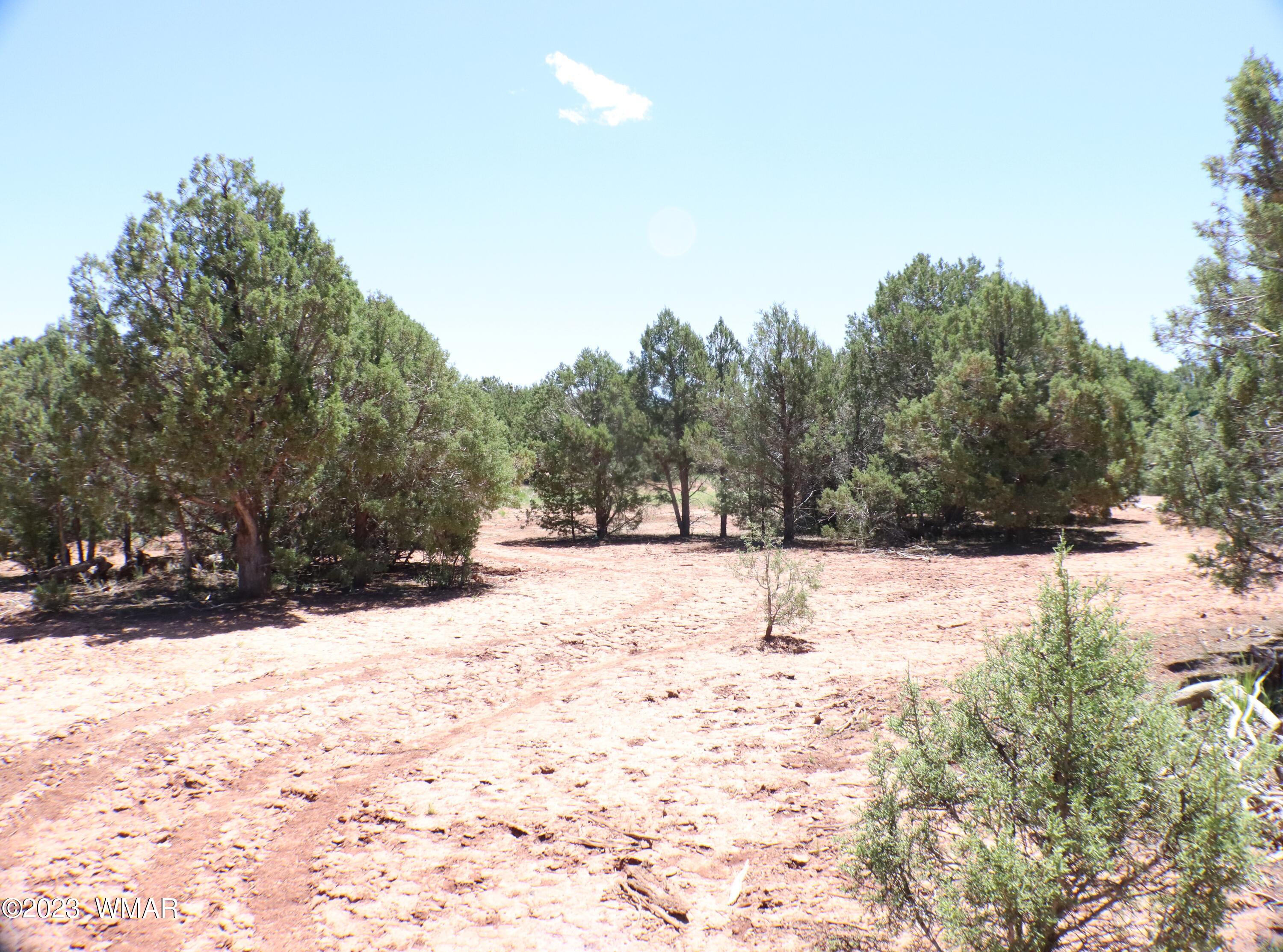 6717 Cheney Ranch Loop Show Low, AZ 85901 - Photo 9 of 12 Gallery Image 9