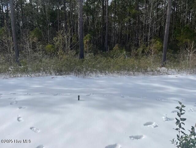 458 Ladyfish Loop Northwest, Unit LOT 59 LOOKOUT Sunset Beach, NC 28468 - Photo 12 of 19 11 backyard