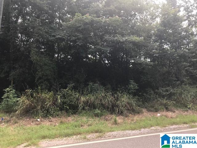 0 Vance Blocton Road, Unit 47 3 ACRES West Blocton, AL 35184 - Photo 2 of 4