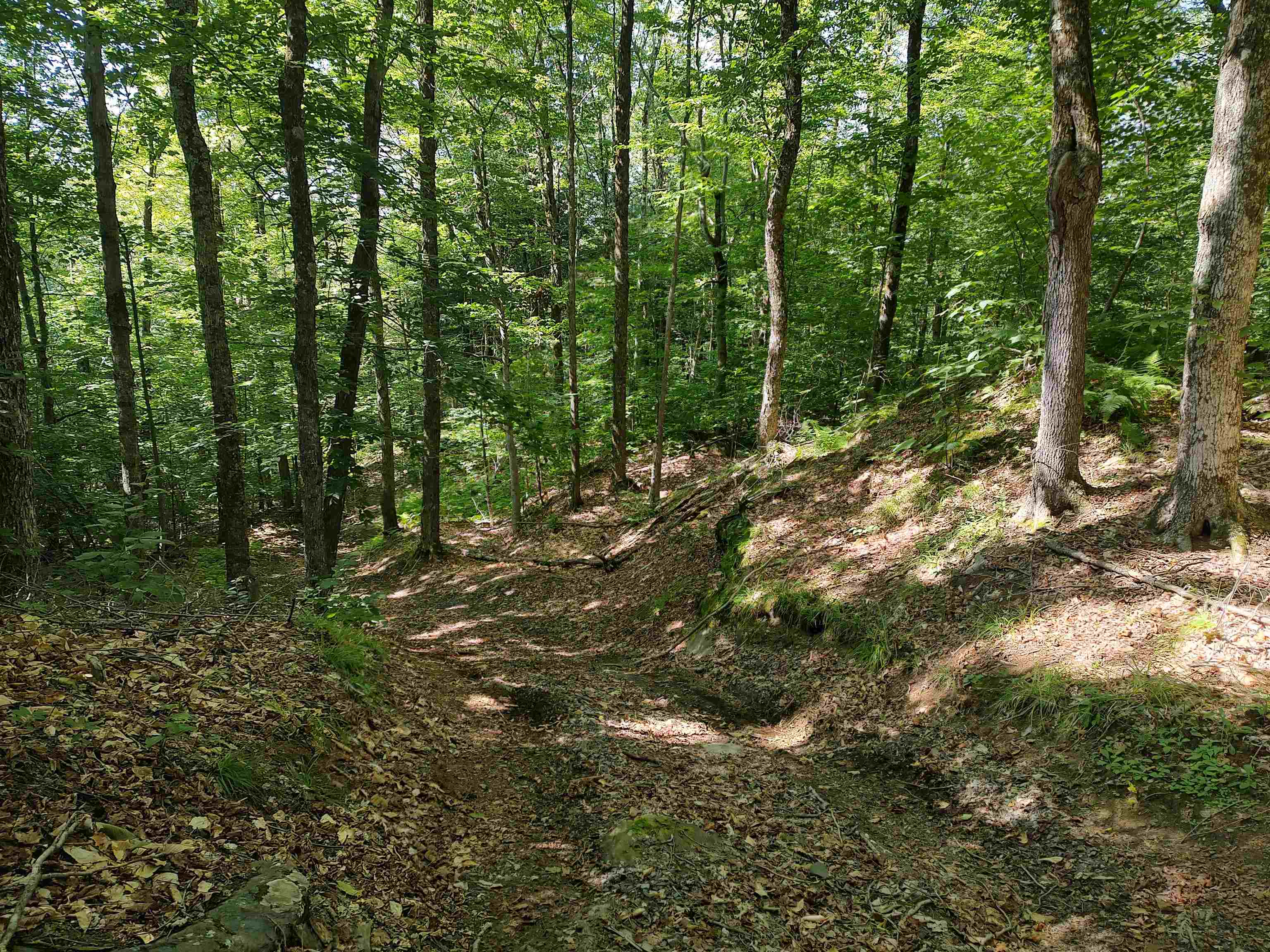 2501 Chelsea Mtn Road Randolph, VT 05061 - Photo 36 of 41 Gallery Image 36