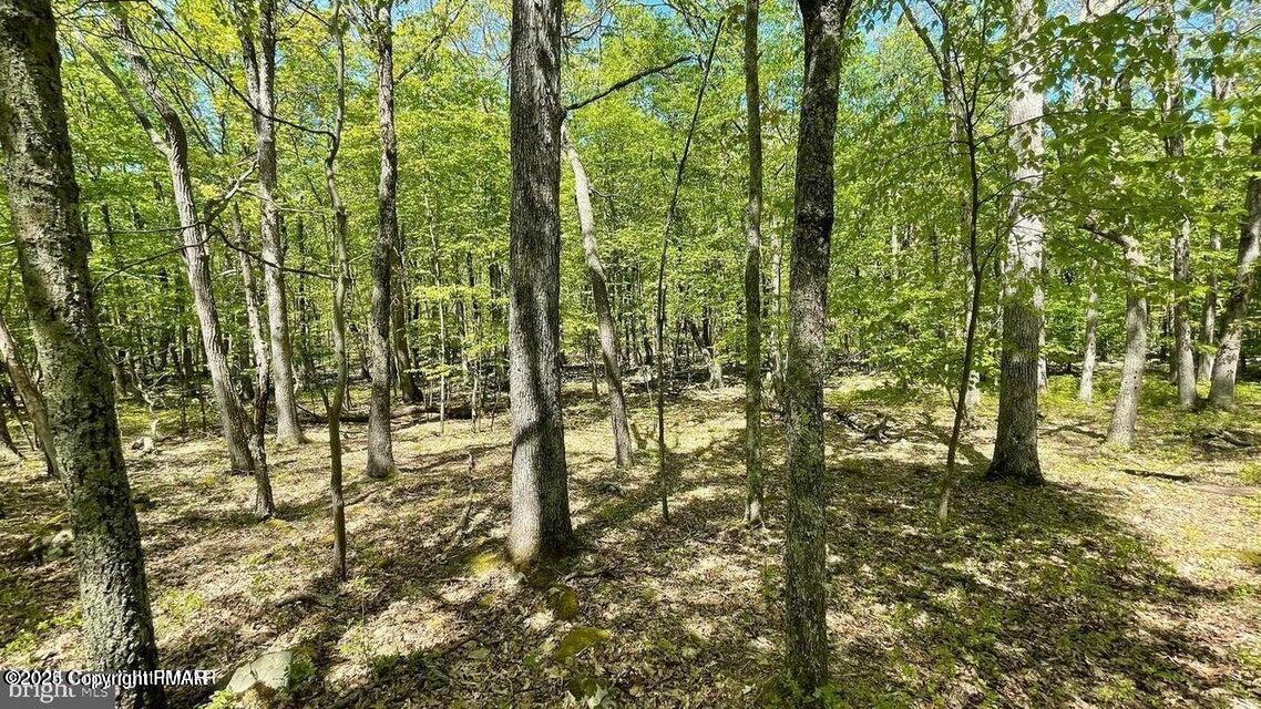 105646 Spring Court Bushkill, PA 18324 - Photo 13 of 17 20240103162002311067000000-o