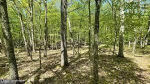 105646 Spring Court Bushkill, PA 18324 - Photo 7 of 17 20240103162008191453000000-o