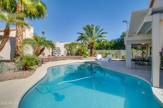 a view of a swimming pool with a lawn chairs under palm trees