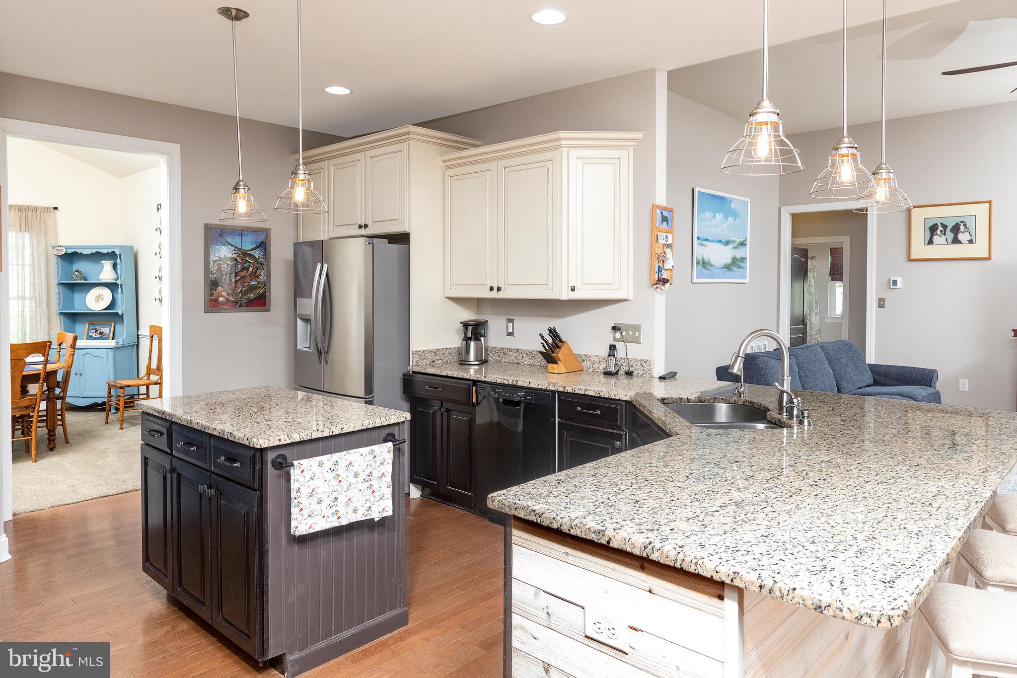 30441 Half Shell Road Milton, DE 19968 - Photo 20 of 70 Modern Kitchen