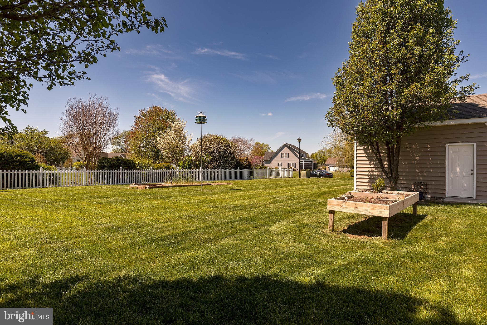 30441 Half Shell Road Milton, DE 19968 - Photo 58 of 70 Large side yard