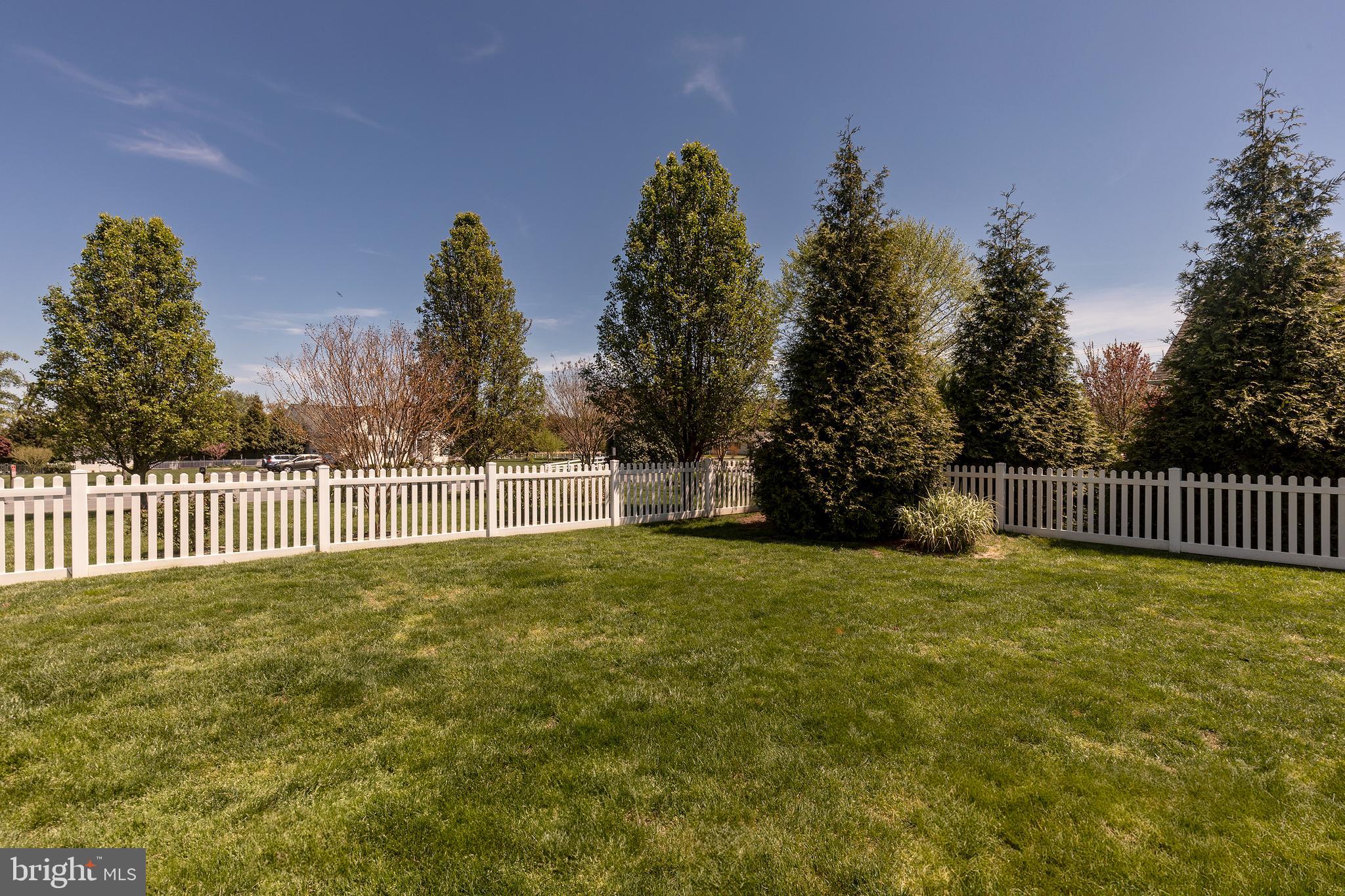 30441 Half Shell Road Milton, DE 19968 - Photo 59 of 70 Fenced Yard