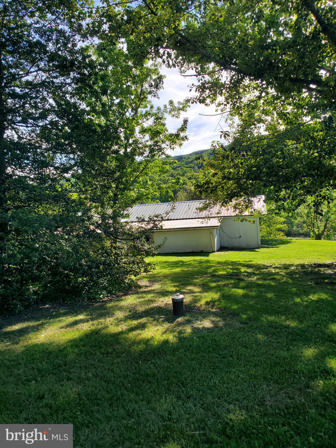 7881 Ford Hill Road Rio, WV 26755 - Photo 5 of 27 Serene retreat amidst lush greenery.