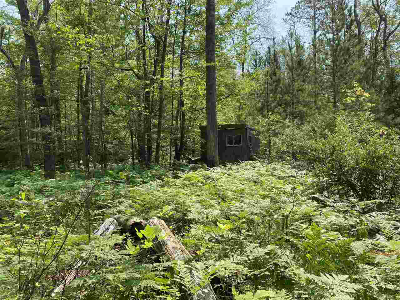 0 Briggs Road Omer, MI 48749 - Photo 9 of 45
