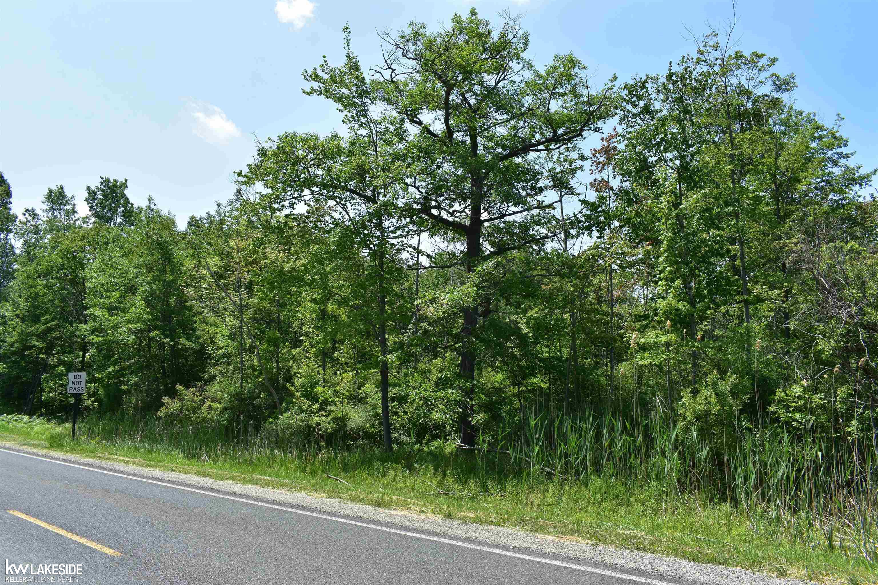 0 Oak Beach Road Port Austin, MI 48467 - Photo 5 of 22