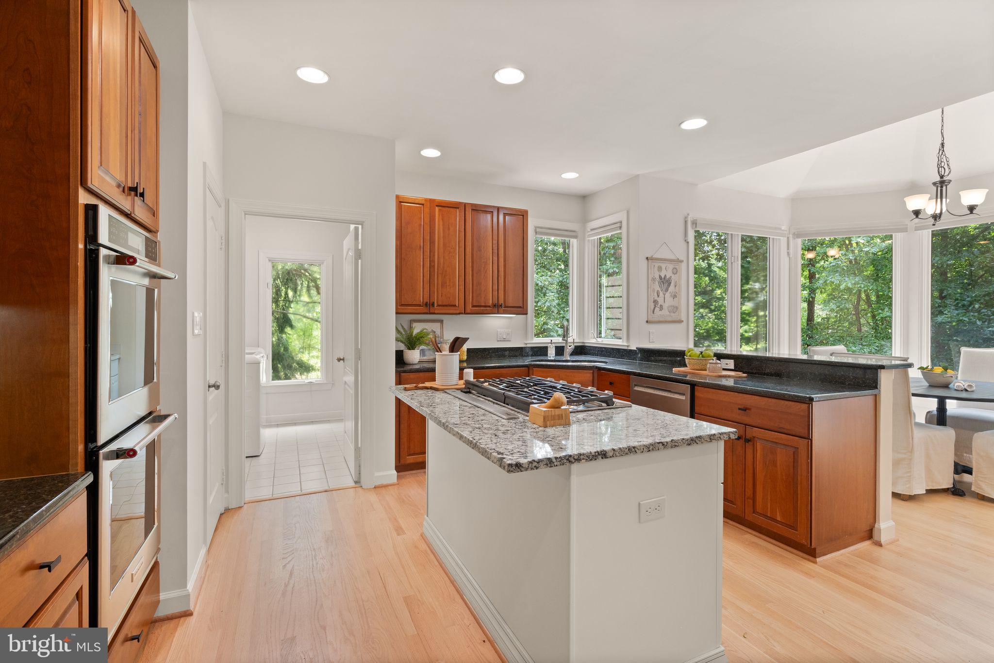 11301 Bright Pond Lane Reston, VA 20194 - Photo 28 of 121 Gallery Image 28