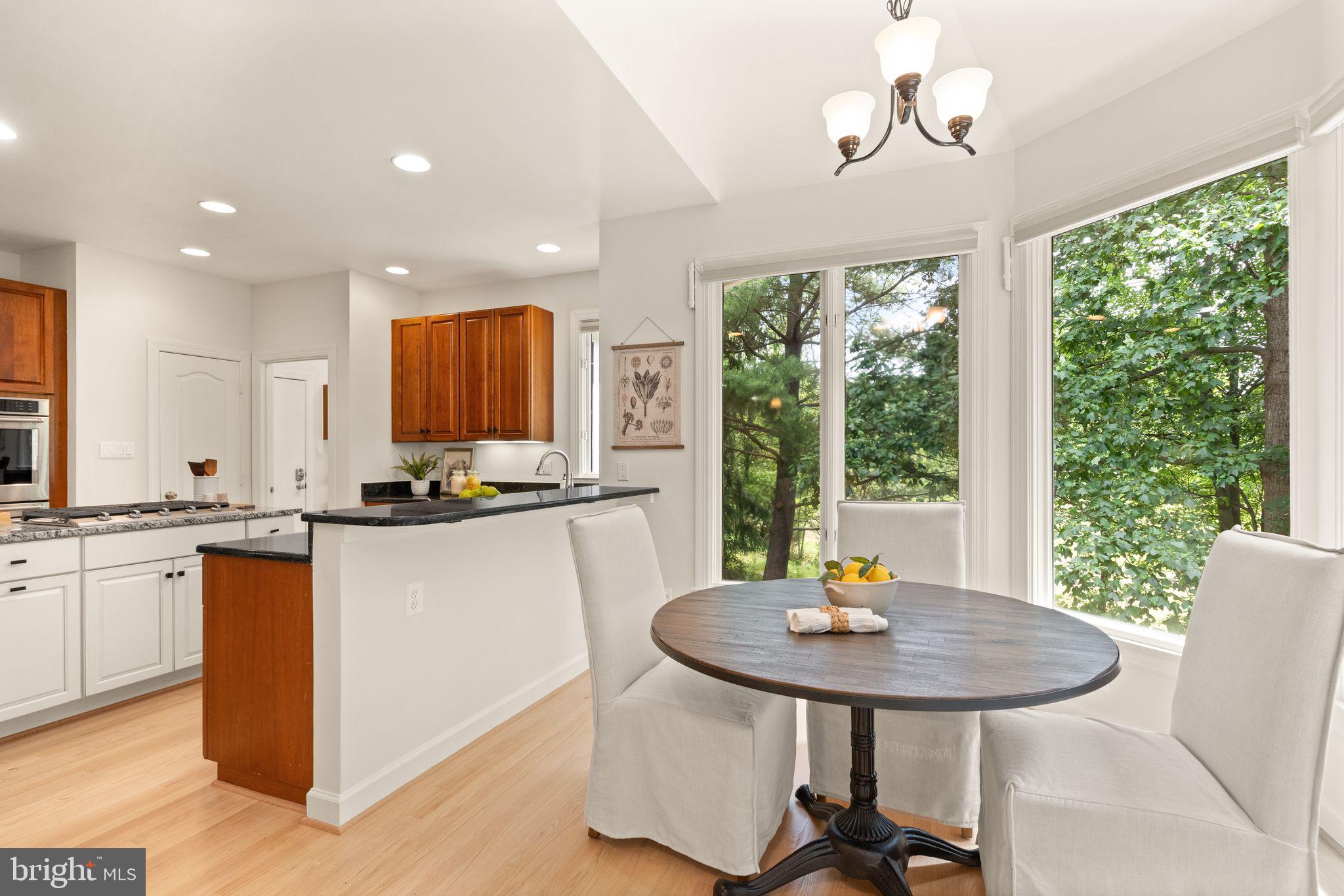 11301 Bright Pond Lane Reston, VA 20194 - Photo 32 of 121 Gallery Image 32