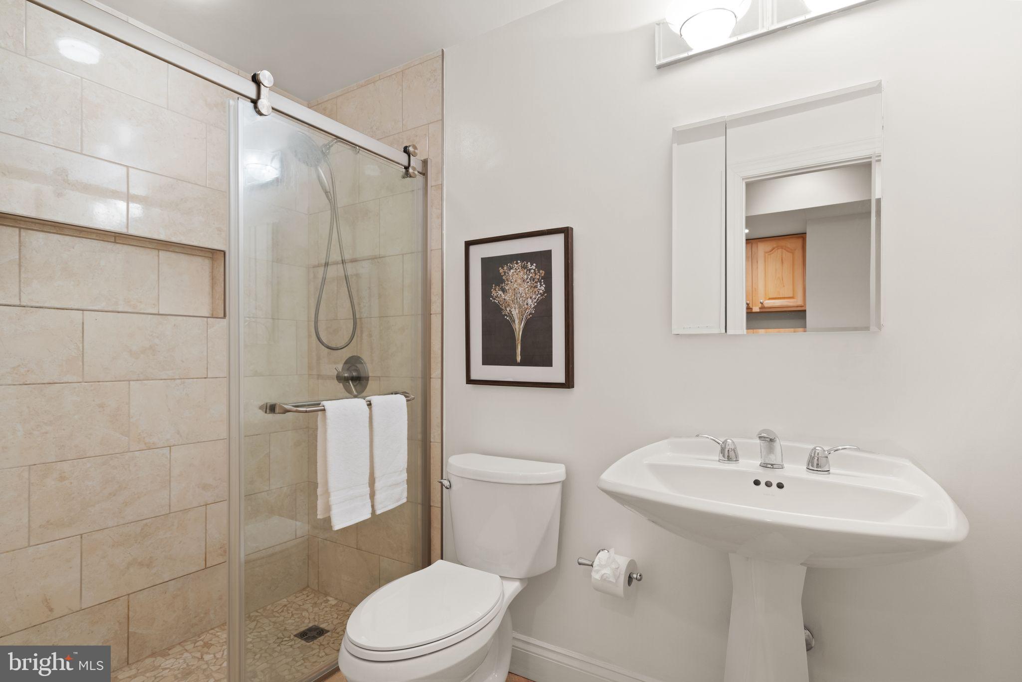 11301 Bright Pond Lane Reston, VA 20194 - Photo 81 of 121 Gallery Image 81
