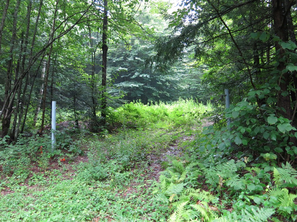 6-7 Spruce Corner Road Ashfield, MA 01330 - Photo 1 of 4 Gallery Image 1