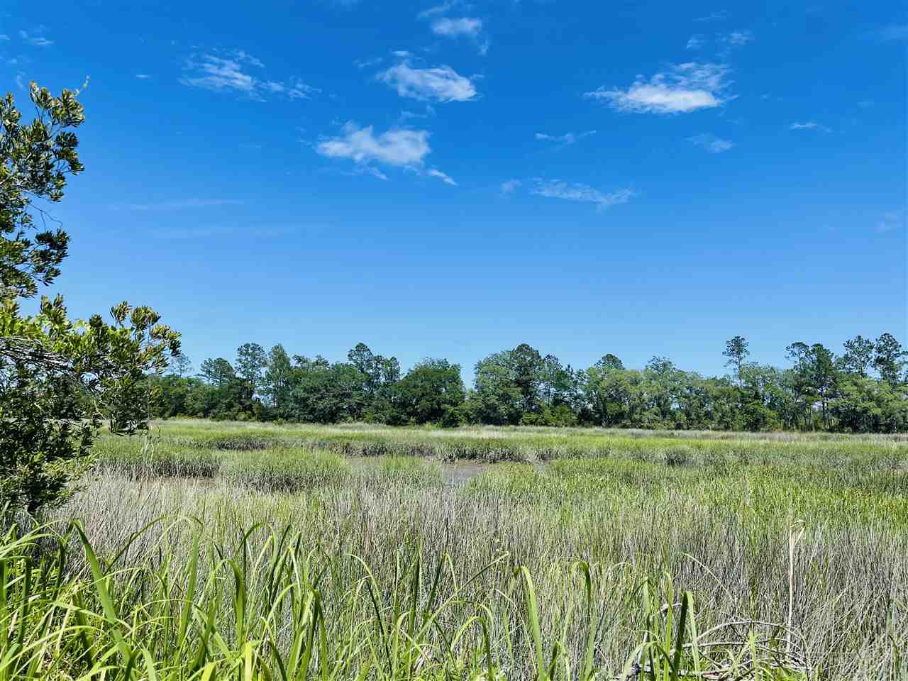 3297 Horseshoe Cove Road Waverly, GA 31565 - Photo 16 of 22