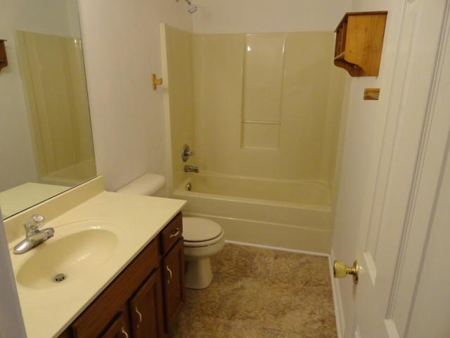 3343 Backridge Road Woodlawn, TN 37191 - Photo 10 of 20 Full Hallway Bath with New Flooring