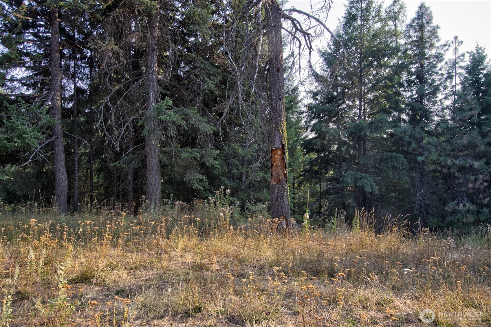 2391 Scott Road Rice, WA 99167 - Photo 36 of 40 Gallery Image 36