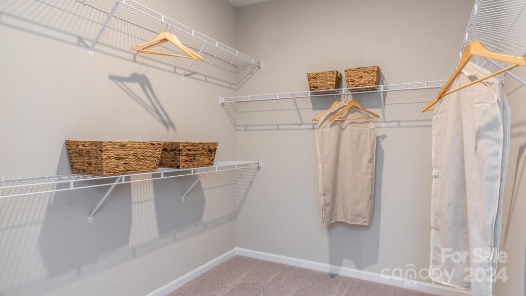 1237 Sugar Crk Road Indian Land, SC 29707 - Photo 17 of 25 a view of walk in closet