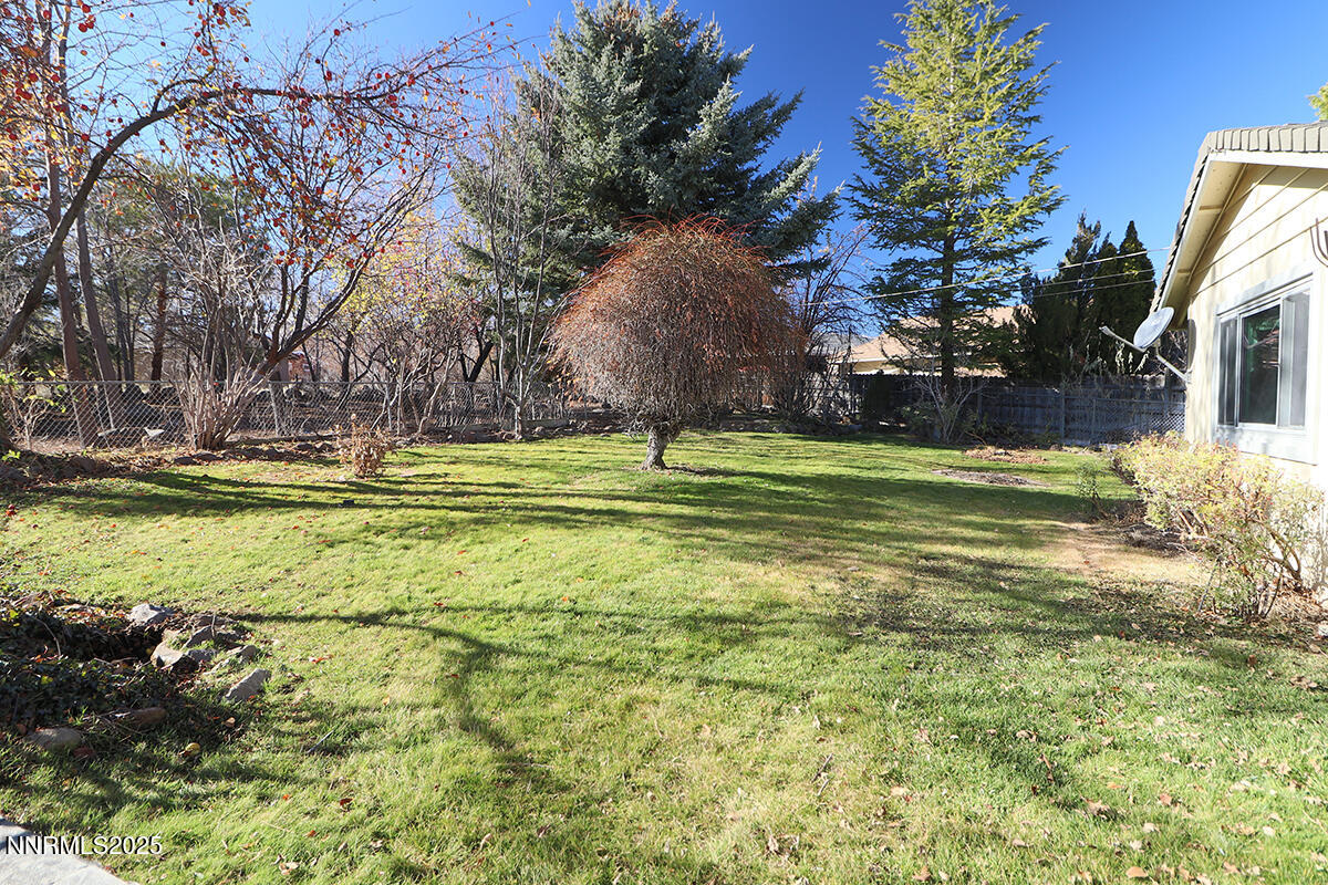 1400 Celese Lane Reno, NV 89511 - Photo 20 of 23 Rear Yard