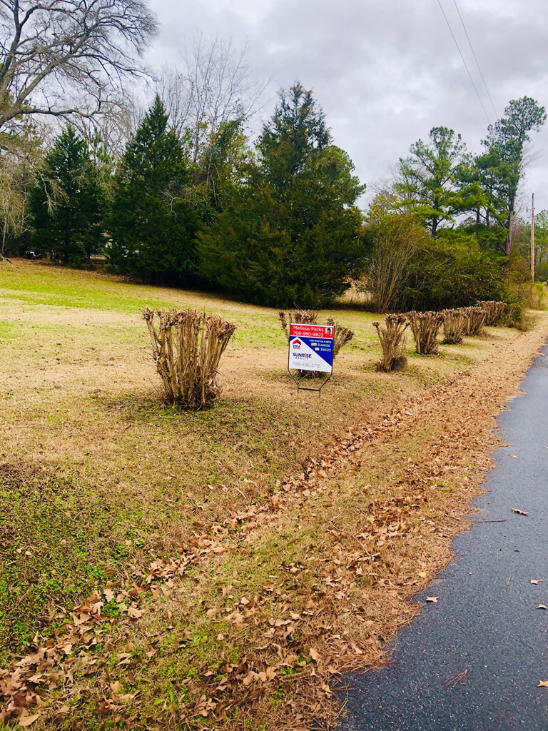 1051 MacDonald Street Tignall, GA 30668 - Photo 21 of 28