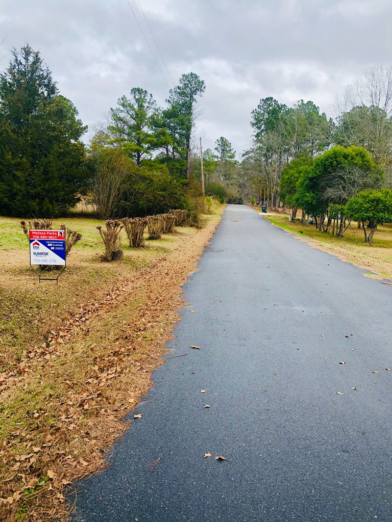1051 MacDonald Street Tignall, GA 30668 - Photo 22 of 28