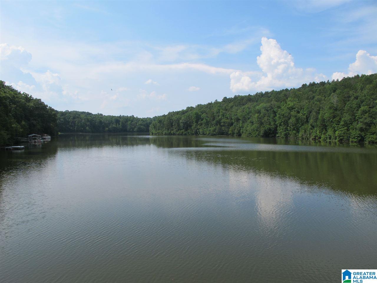 Lot # County Road 88, Unit 6 Wedowee, AL 36278 - Photo 1 of 7