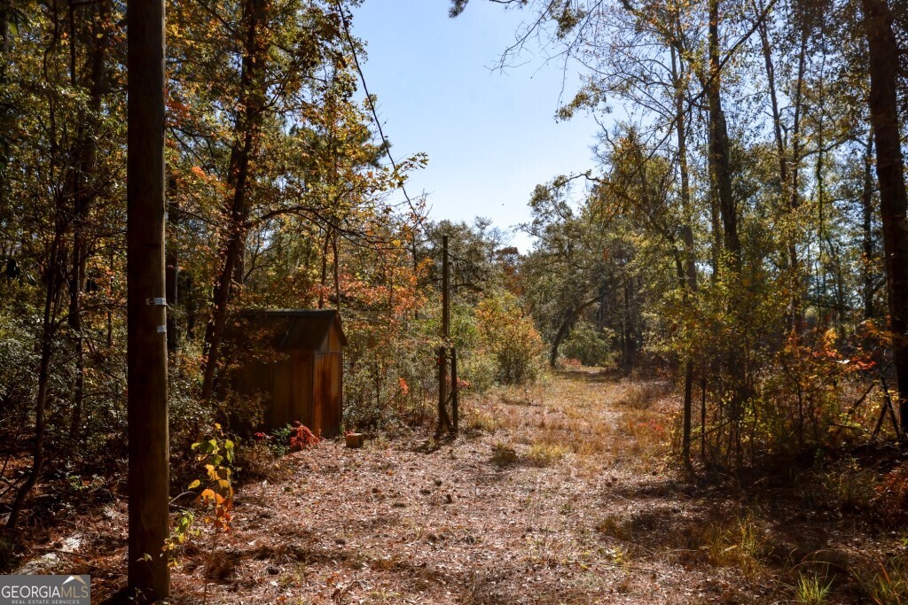 0 Anderson Road, Unit TRACT 1 Statesboro, GA 30458 - Photo 8 of 31 a view of a yard with trees