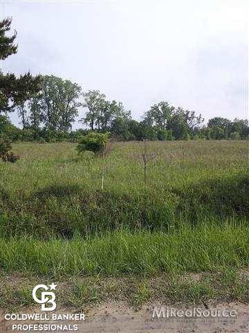 0 Logg Road Richmond, MI 48062 - Photo 1 of 3