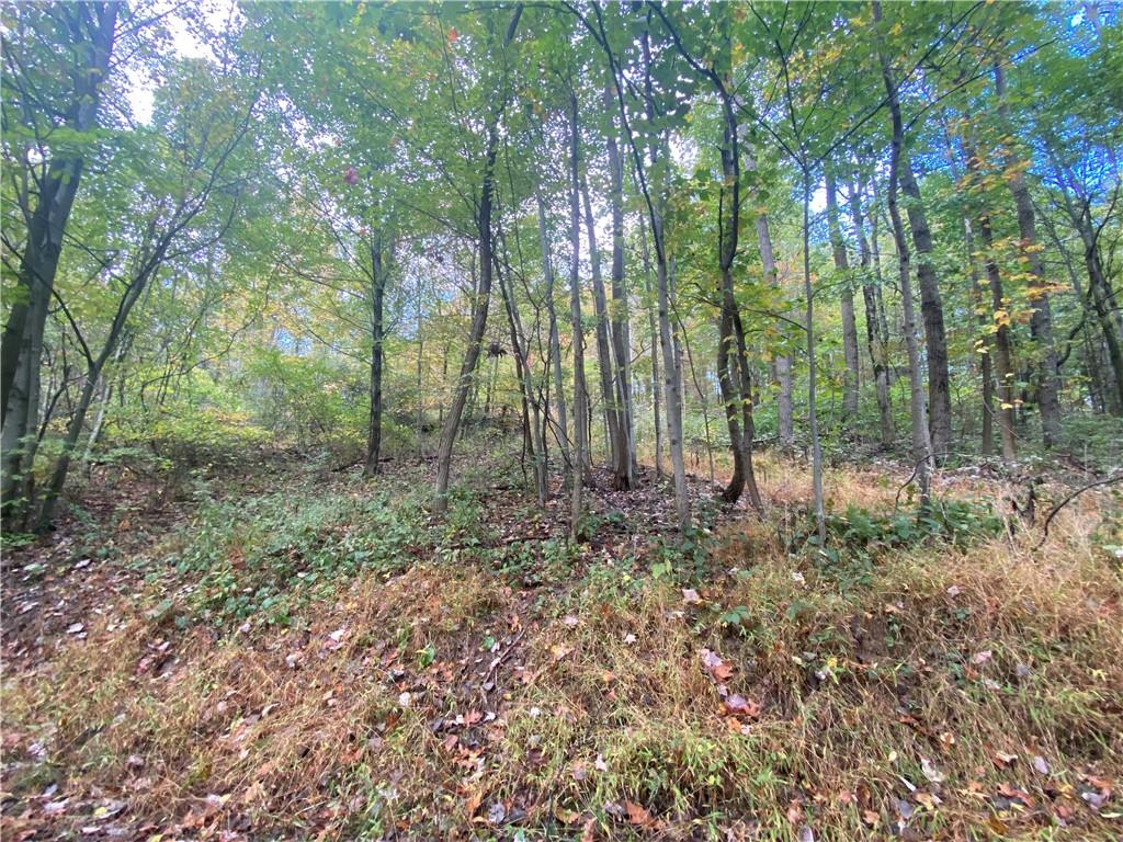0 Lions Health Camp Road Indiana, PA 15701 - Photo 4 of 12 a view of forest